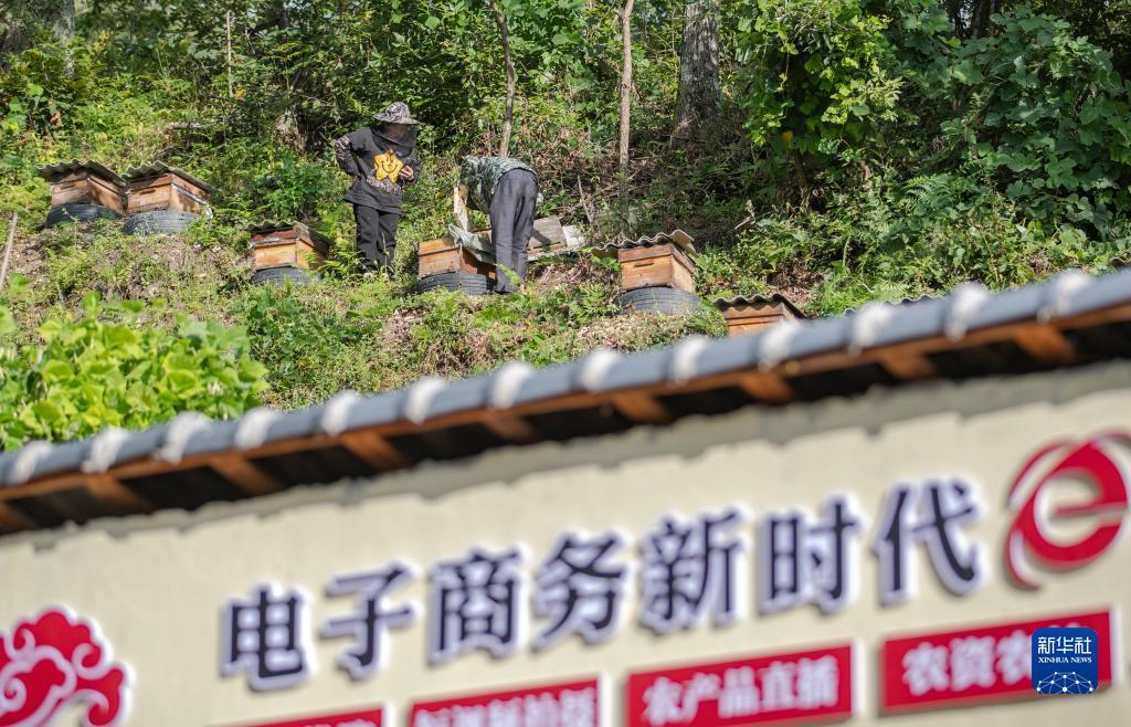 必赢28登录